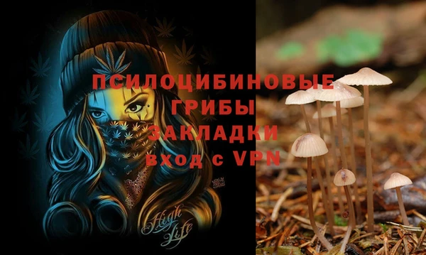 PSILOCYBIN Беломорск